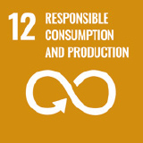 12 - Responsible consumption and production